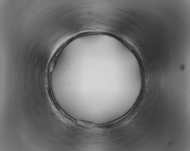 X0000115691085200912031437