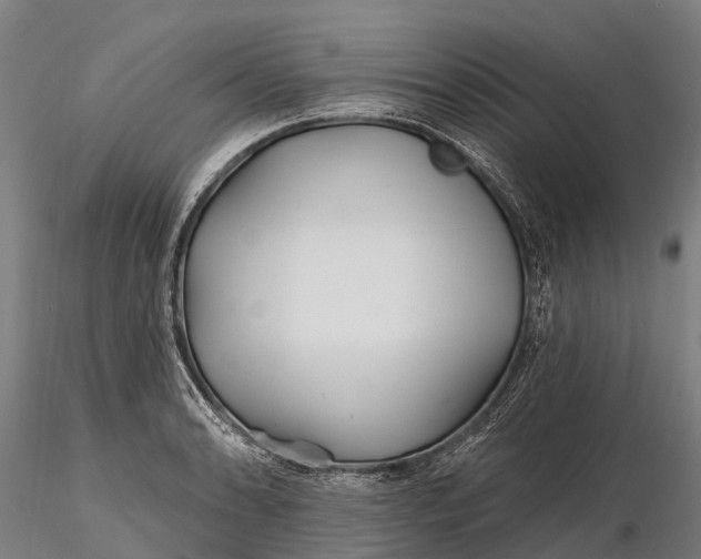 X0000115691086200912031437