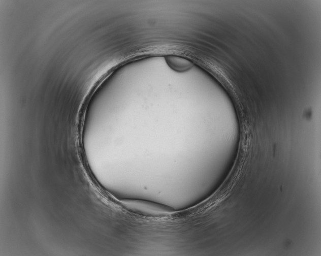 X0000115691087200912031437