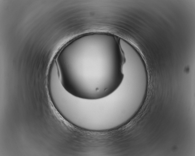 X0000115691088200912031437