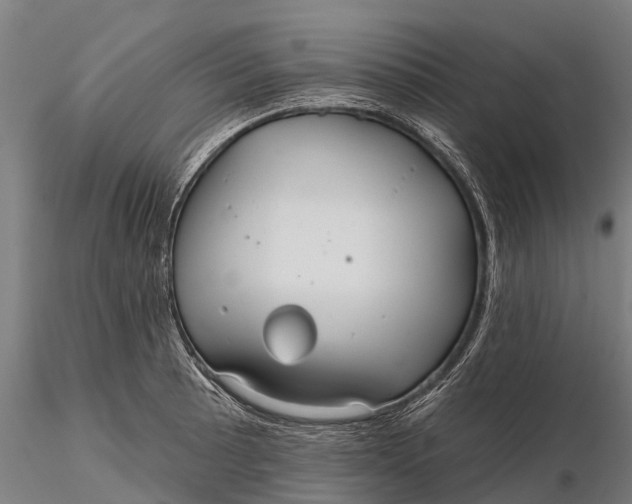 X0000115691089200912031437