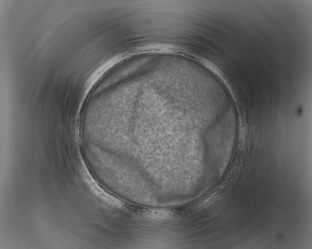 X0000115691090200912031437