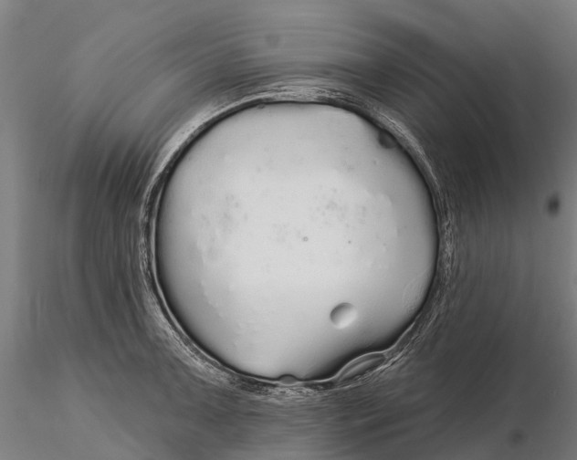 X0000115691091200912031437