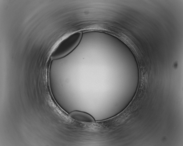 X0000115691092200912031437