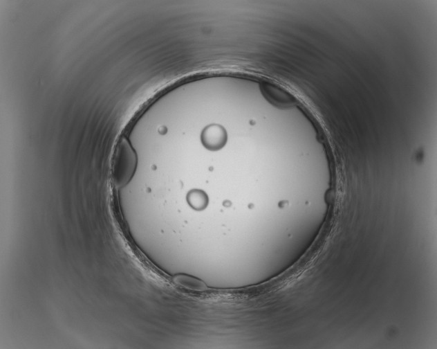 X0000115691093200912031437