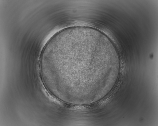 X0000115691094200912031437