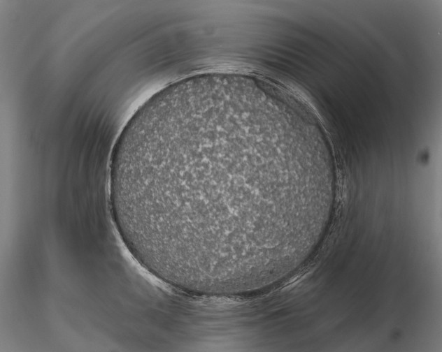 X0000115691095200912031437