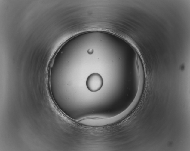 X0000115691096200912031437