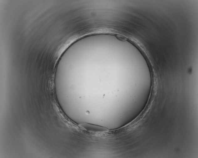 X0000115691097200912031437