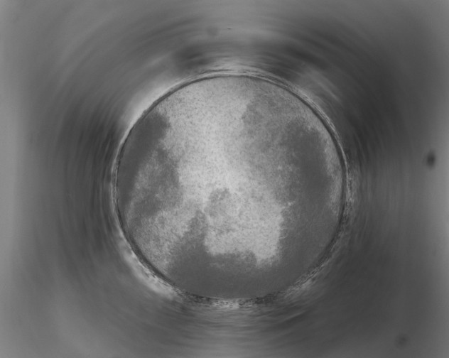 X0000115691098200912031437