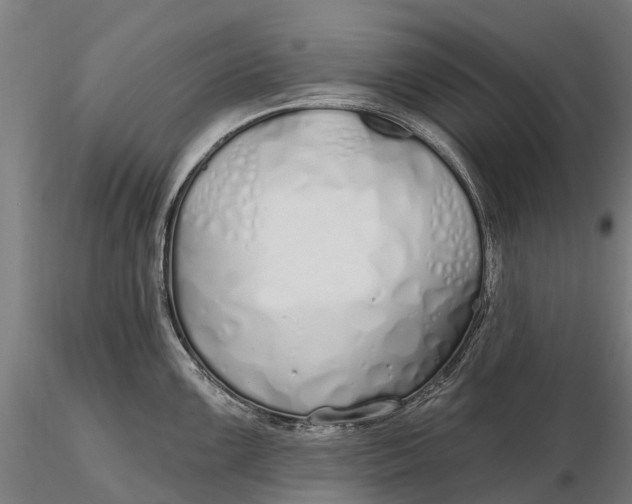 X0000115691099200912031437