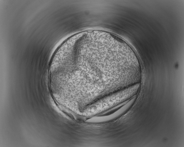 X0000115691100200912031437