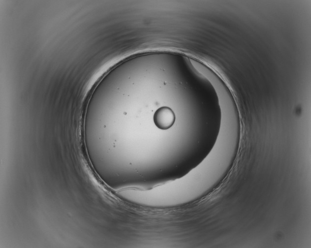 X0000115691101200912031436