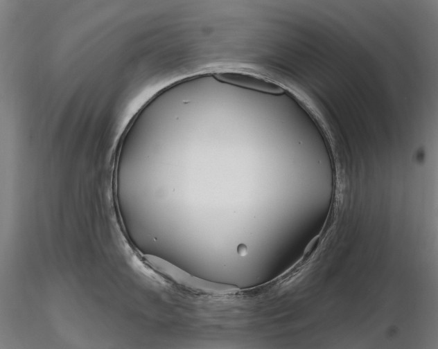 X0000115691102200912031436