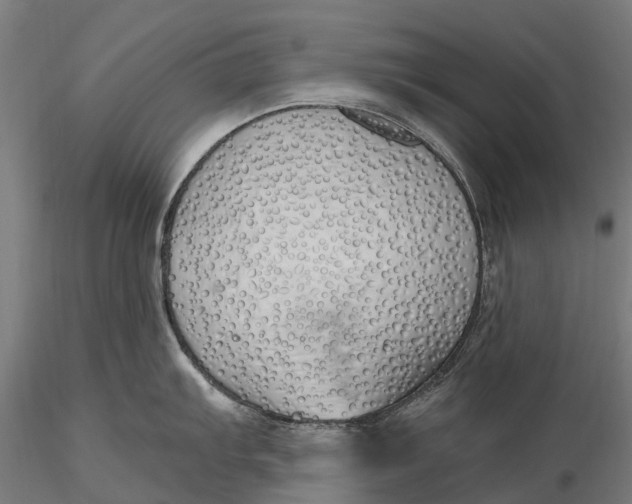 X0000115691103200912031436