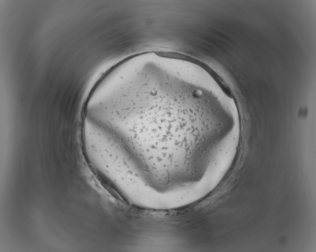 X0000115691104200912031436