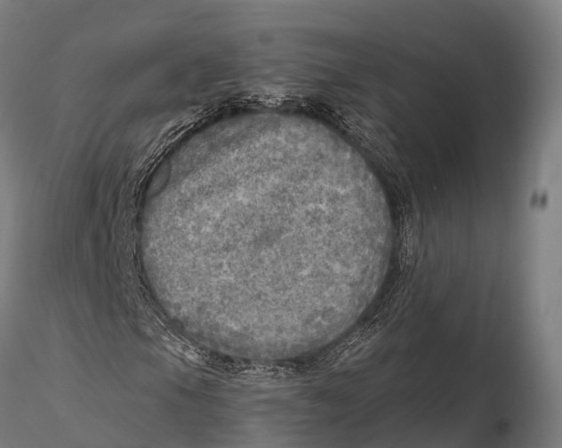 X0000115691105200912031436