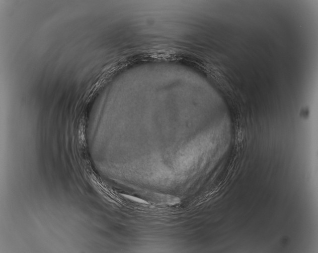 X0000115691106200912031436