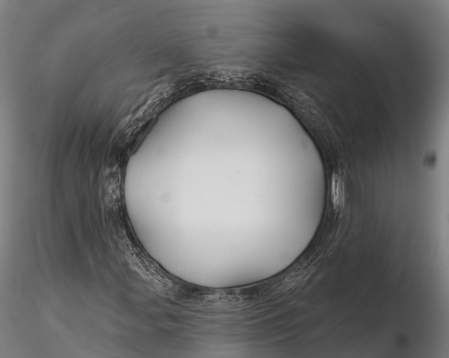 X0000115691107200912031436