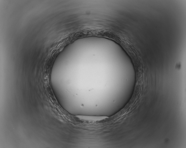 X0000115691109200912031436