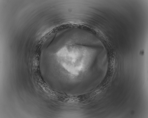 X0000115691110200912031436