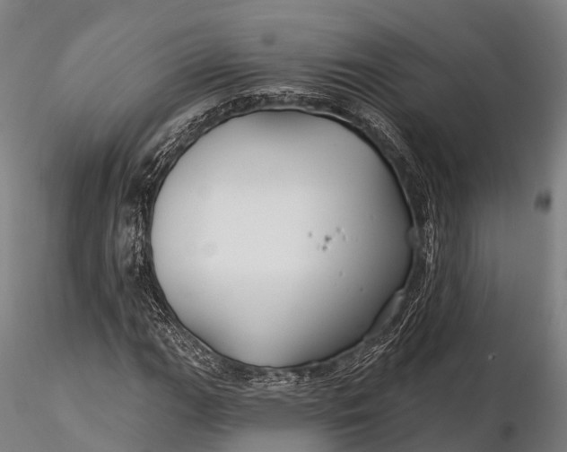 X0000115691111200912031436