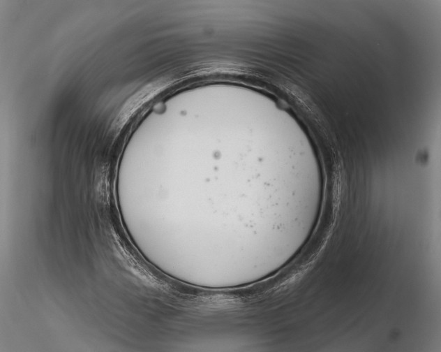 X0000115691113200912031436