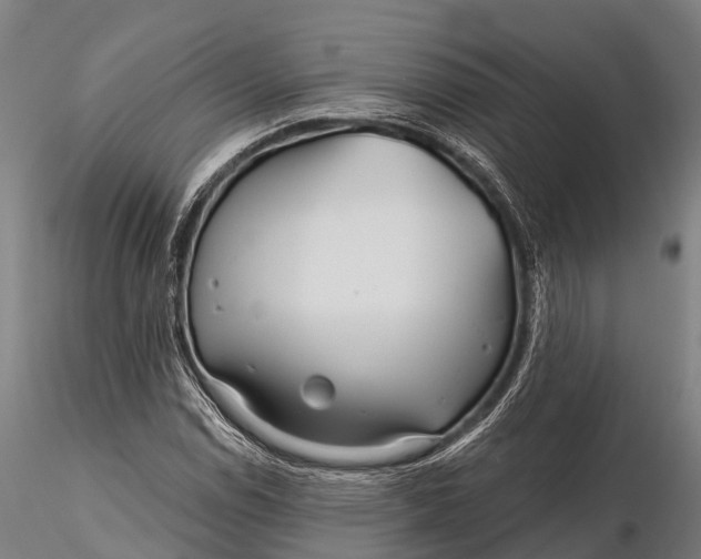 X0000115691114200912031436