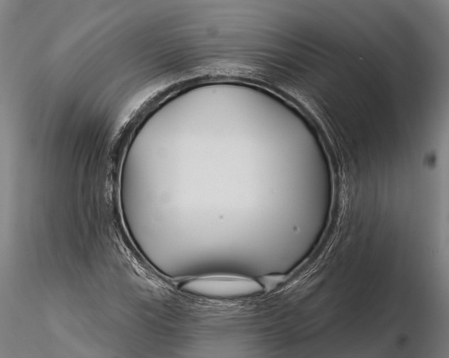 X0000115691115200912031436