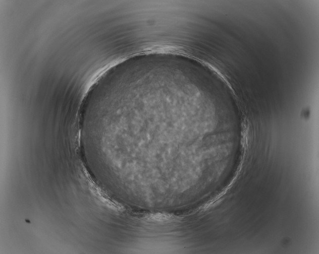 X0000115691117200912031436