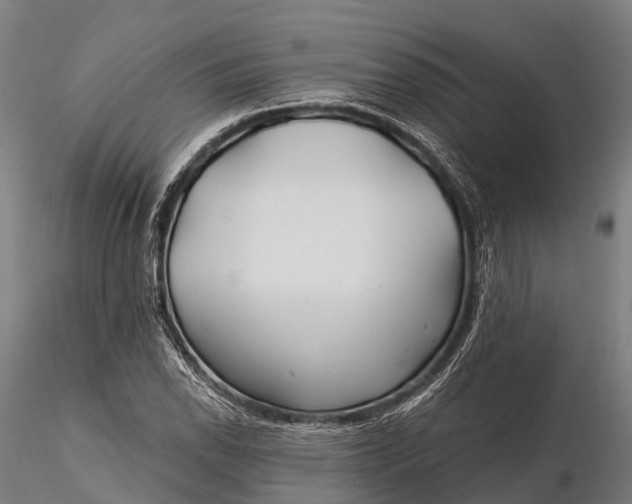 X0000115691118200912031436