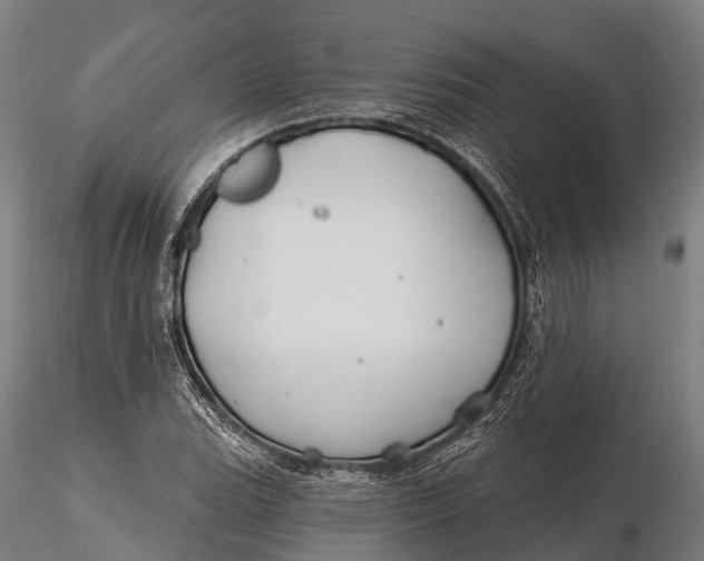 X0000115691119200912031436