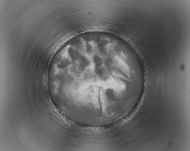 X0000115691121200912031436