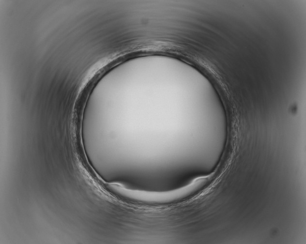 X0000115691122200912031436