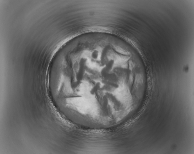 X0000115691125200912031436