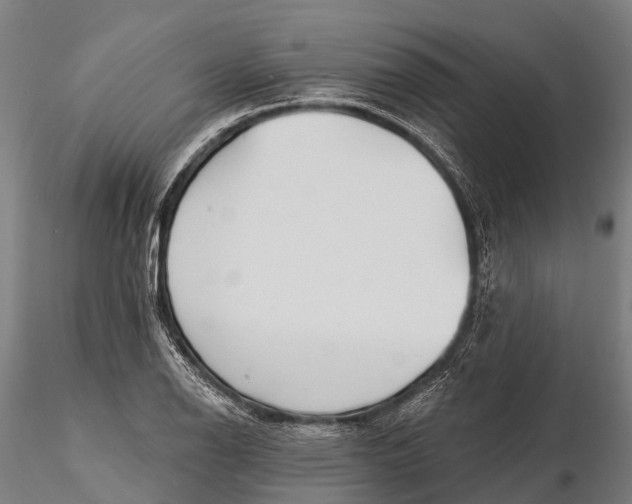 X0000115691126200912031436