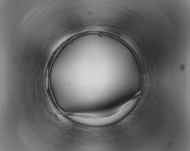 X0000115691127200912031436