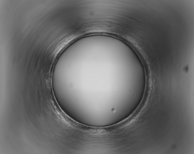 X0000115691129200912031436