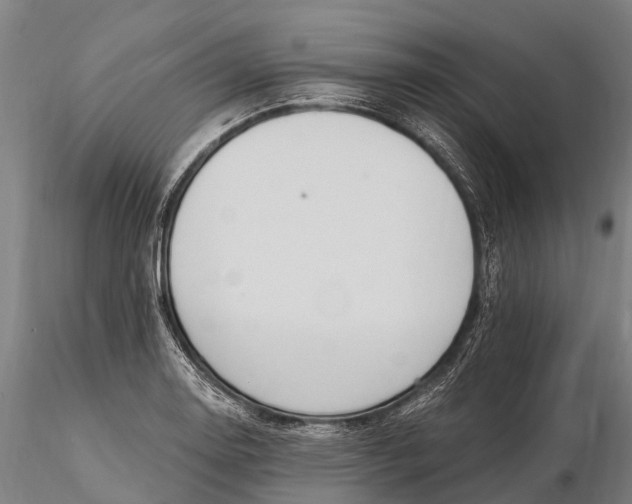 X0000115691130200912031436