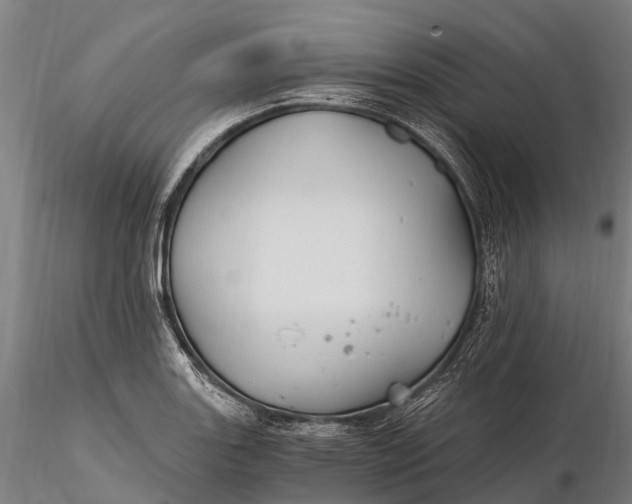 X0000115691131200912031436