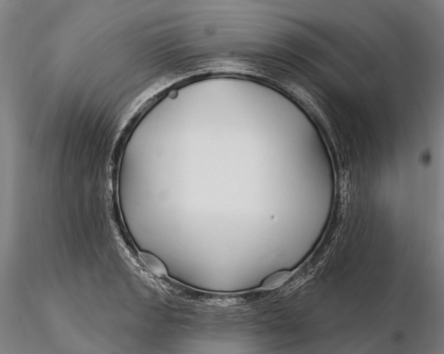 X0000115691133200912031436