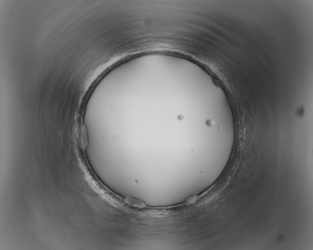 X0000115691134200912031436