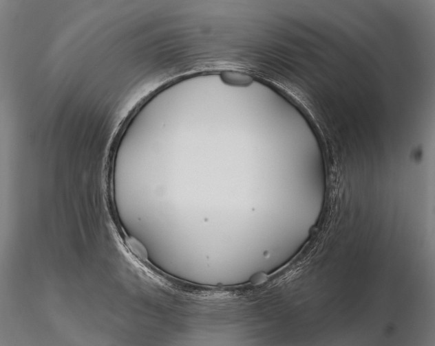 X0000115691135200912031436