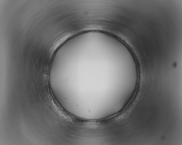 X0000115691137200912031436