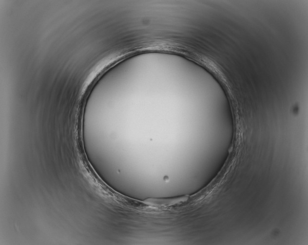 X0000115691138200912031436