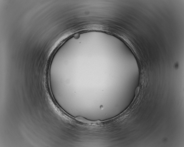 X0000115691139200912031436