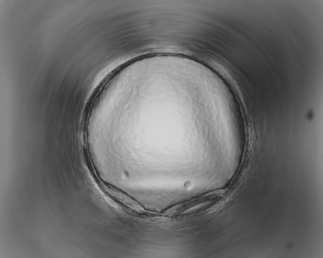 X0000115691141200912031436