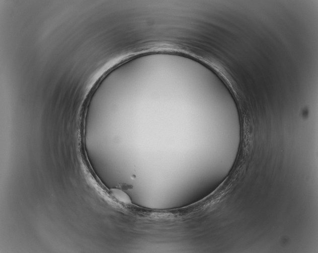 X0000115691142200912031436