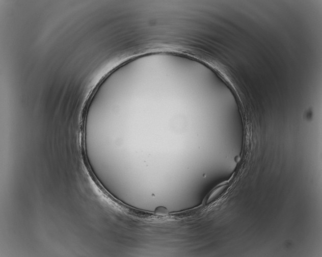 X0000115691143200912031436