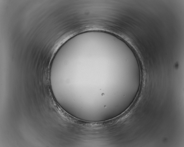 X0000115691145200912031436